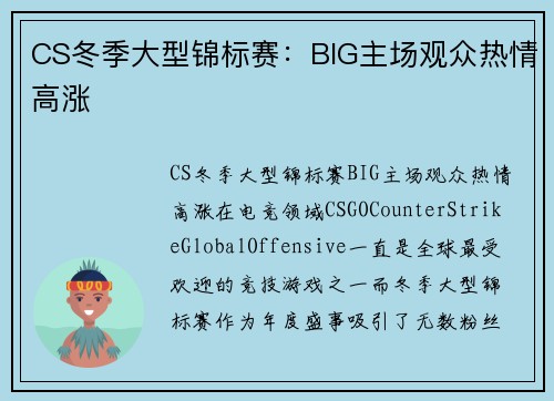 CS冬季大型锦标赛：BIG主场观众热情高涨