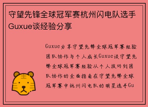 守望先锋全球冠军赛杭州闪电队选手Guxue谈经验分享